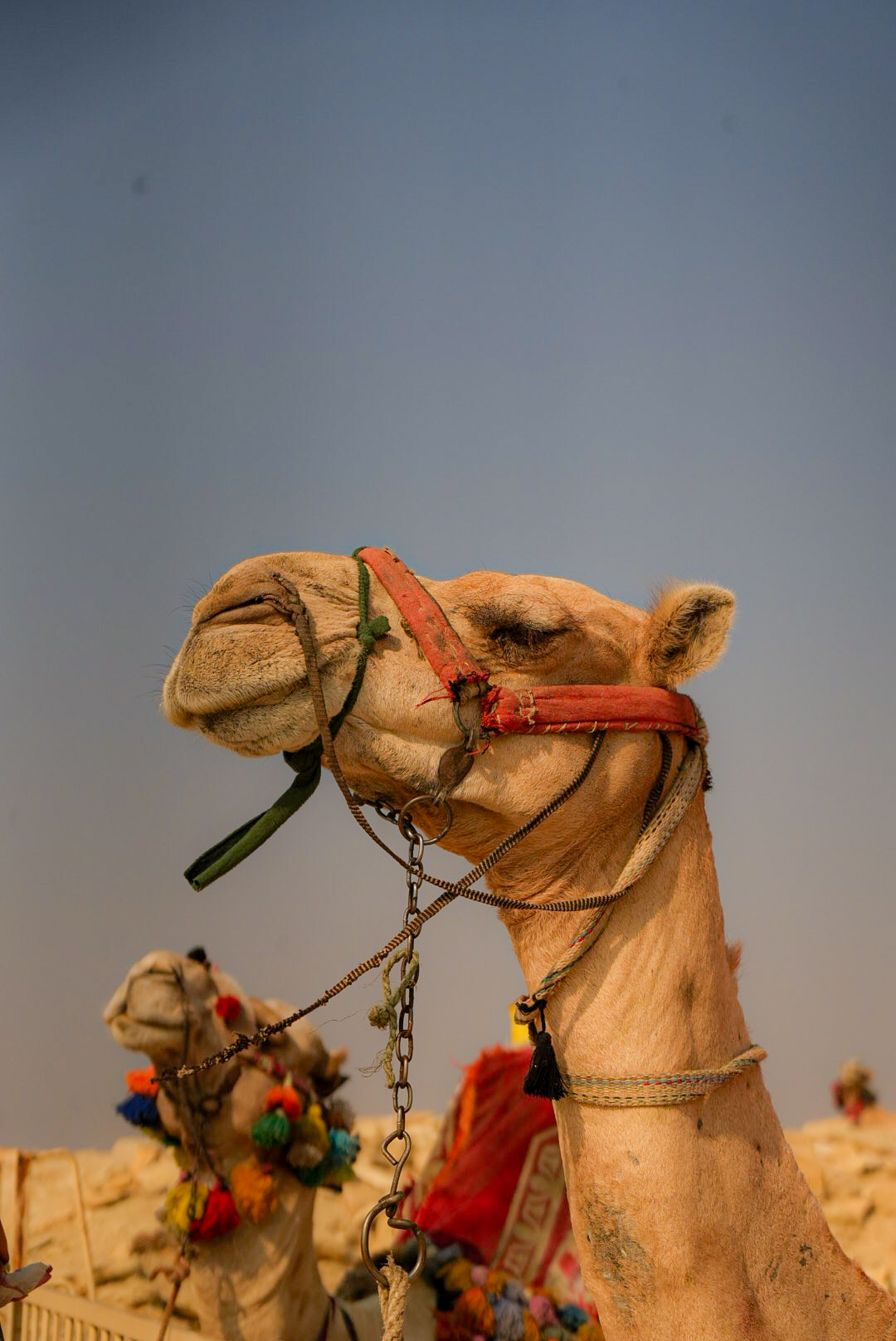 Egipto: fotografía 4