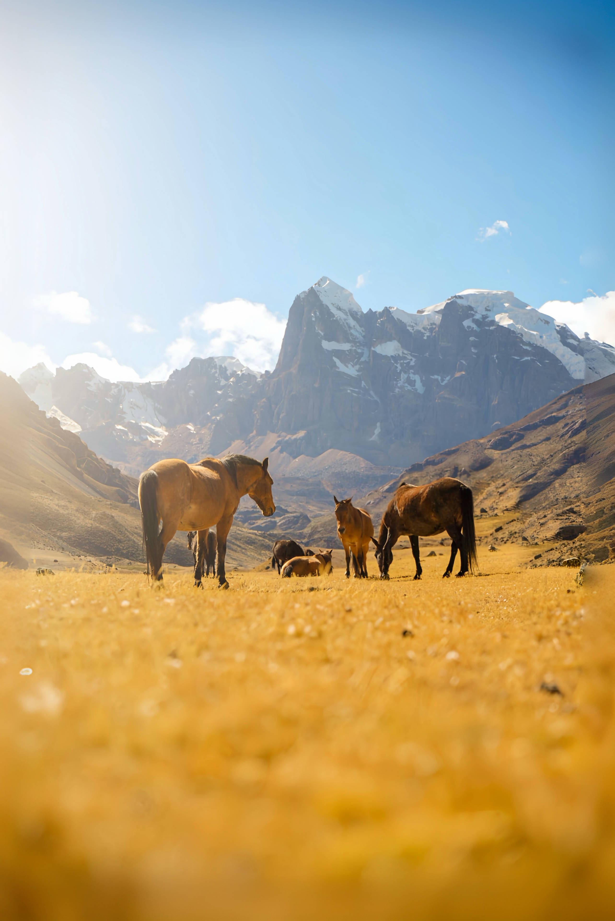 Huayhuash: fotografía 7