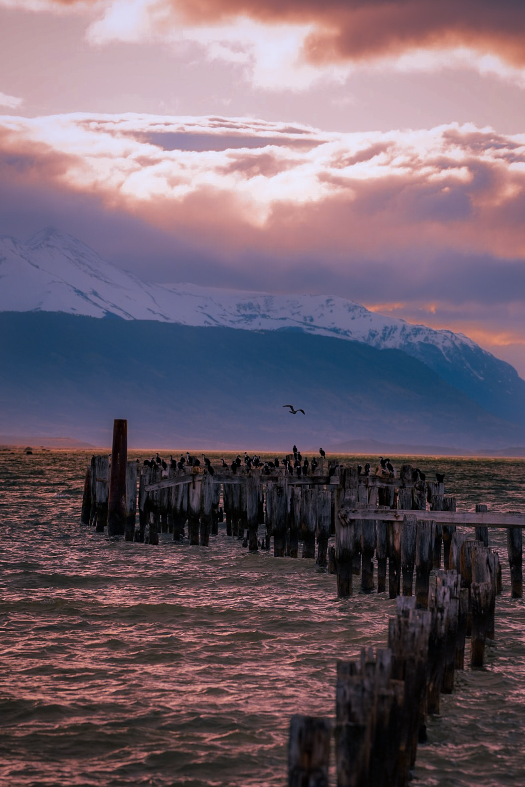 Patagonia: fotografía 7