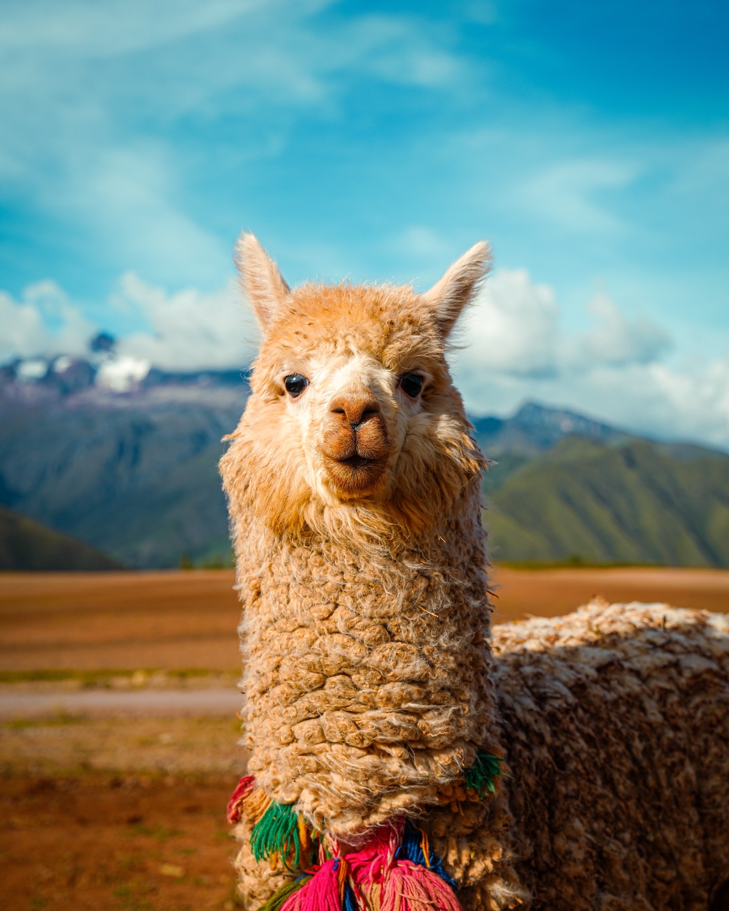 Perú: fotografía 2